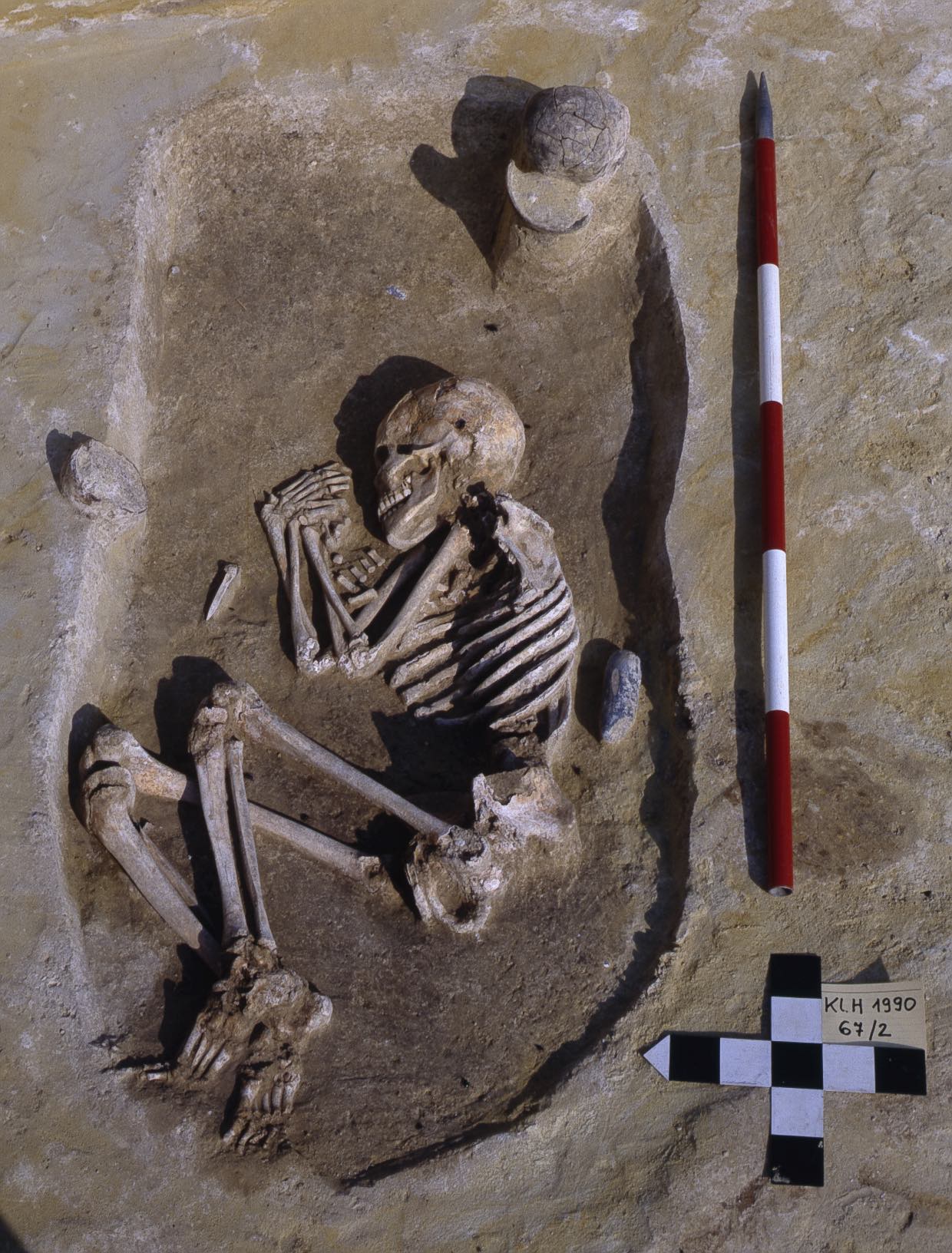 Image of an excavated neolithic skeleton